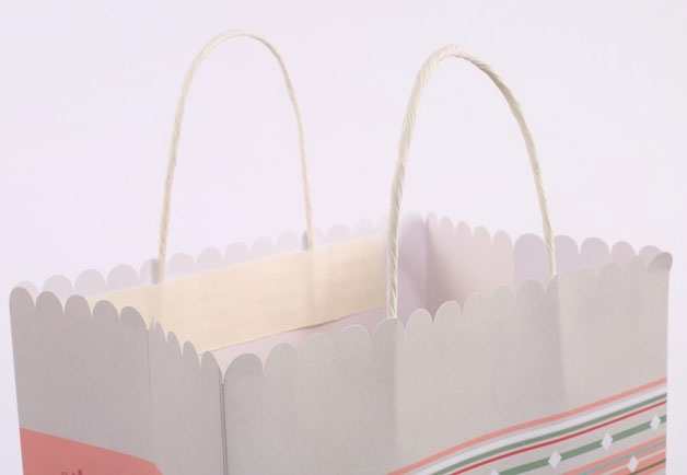 手提(ti)袋/紙袋