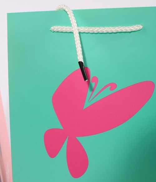 手(shǒu)提袋/紙袋