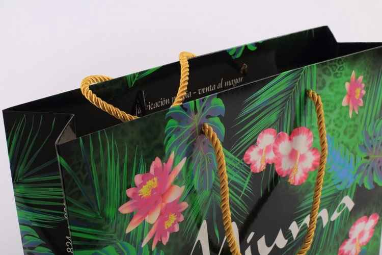 手提袋/紙(zhi)袋